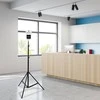 Infraraudonųjų spindulių sieninis termometras Promedix PR-685
