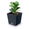 Prosperplast Vazonas FURU SQUARE LOW su įdėklu 10/7,5 L 240x240x235 mm antracito sp. Prosperp