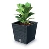 Prosperplast Doniczka FURU SQUARE LOW DFS300 - antracytowy
