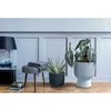 Prosperplast Milly-marsala gėlių vazonas DMBIG400-4985U sk. 390 mm