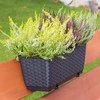 Vazonas Prosperplast Ratolla, 49,2 x 17,2 x 17,4 cm