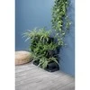 Vertikalūs sodo vazonai Prosperplast Cascade Garden IO2W600S-S433 55cm