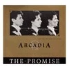 Vinilinė plokštelė Arcadia ‎– The Promise (Extended Remix)