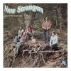 Vinilinė plokštelė New Strangers ‎– Back To The Mountains