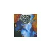 Vinilinė plokštelė P.M. Dawn ‎– The Bliss Album... ?