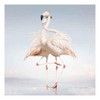 Vinilinė plokštelė Rustie ‎– Žalias Language