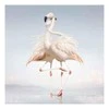 Vinilinė plokštelė Rustie ‎– Žalias Language