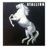 Vinilinė plokštelė Stallion ‎– Stallion