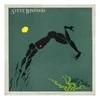 Vinilinė plokštelė Steve Winwood ‎– Arc Of A Diver