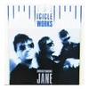 Vinilinė plokštelė The Icicle Works ‎– Understanding Jane