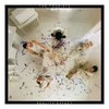 Vinilinė plokštelė The Tourists ‎– Reality Effect