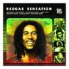 Vinilinė plokštelė Various ‎– Reggae Sensation