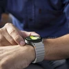 Apyrankė Samsung Galaxy Watch 4 / 5 / 5 PRO / 6 / 7 / FE Tech-Protect silikoninė Sport Crayon pilka