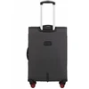 Kelioninis Nedidelis lagaminas Wings DPR01 pilkas