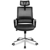 Meester Group Sp. z o.o. Manager ergonomic chair 2.1 Juodas
