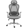 Meester Group Sp. z o.o. Manager ergonomic chair 2.9 Pilkas