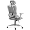 Meester Group Sp. z o.o. Manager ergonomic chair 2.9 Pilkas