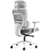Meester Group Sp. z o.o. Office chair with massage Visioner 6.1 Pilkas