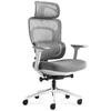 Meester Group Sp. z o.o. Office chair with massage Visioner 6.1 Pilkas