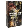 Būrimo kortos " YES OR NO "