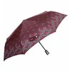 Parasol Pusiau automatinis moteriškas skėtis CARBON STEEL DA331-4