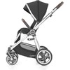 BabyStyle Oyster 3 stilingas vaikiškas vežimėlis | Tamsiai pilkos/sidabro spalvos "Caviar Silver"