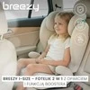 Caretero Breezy kėdutė su vaiku automobilyje