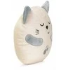 First Chicco pirmosios svajonės Kitty Mruczek