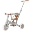 Triratukas Little Dutch Žalsvas 4 in 1
