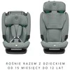 Maxi-Cosi Titan Pro 2 i-Size - fotelik automobilinis i-Size 76-150 cm | Authentic Žalias