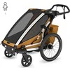 Thule Chariot Sport 2 - vienvietė dviračio priekaba | G3 natūralus auksas