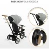 Triratukas Toyz By Caretero Sabre - 3in1, šviesiai rožinė