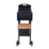 Dm_Grill Bbq Expert Šašlykinė 73x30x85 cm, su lentyna ir ratukais, metalo storis 3mm
