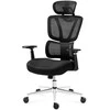 Juoda tinklinė ergonominė biuro kėdė su galvos atrama