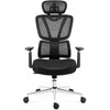 Ergonominė biuro kėdė su tinkleliu ir chromuotu pagrindu