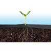 Sodo agrotekstilė 1,6 m x 50 m + 100 Plonos kaiščių