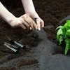 Sodo agrotekstilė 1 m x 75 m + 50 „Plonos“ kaiščių - juoda