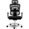 Biuro kėdė su tinkliniu atlošu, ergonomiško dizaino, reguliuojamo aukščio, juoda vadovo kėdė, patogi kompiuterio kėdė
