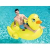 prie Pripučiama didelė antis 186 x 127 cm Bestway 41106
