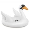 Pripučiamas čiužinys „Swan“, 130 x 102 x 99 cm, INTEX, 57557