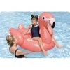 Pripučiamas plaustas Bestway Flamingo, 41525, 138 cm x 107cm