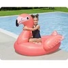 Pripučiamas plaustas Bestway Flamingo, 41525, 138 cm x 107cm