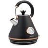 Berdsen Elektrinis virdulys su termometru 1,7 l BD-701 - juodas