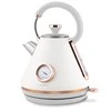 Berdsen Elektrinis virdulys su termometru 1,7 l BD-701 - baltas
