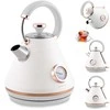 Berdsen Elektrinis virdulys su termometru 1,7 l BD-701 - baltas
