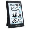 Berdsen Meteorologinė stotelė su ekranu BD-911, juoda