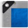Brezentas 600 x 1000 cm 120 g/m2 Plonos PL-500