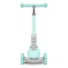 Triratis paspirtukas Ricokids Buggy