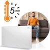 Infraraudonųjų spindulių šildytuvas, 960 W, Berdsen BD-989, nuotolinio valdymo pultas su WiFi