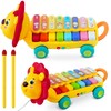Važiuojantis muzikinis žaislas ksilofonas - pianinas Liūtas Ricokids, RK-740